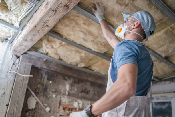 Best Insulation Maintenance and Repair in , IN